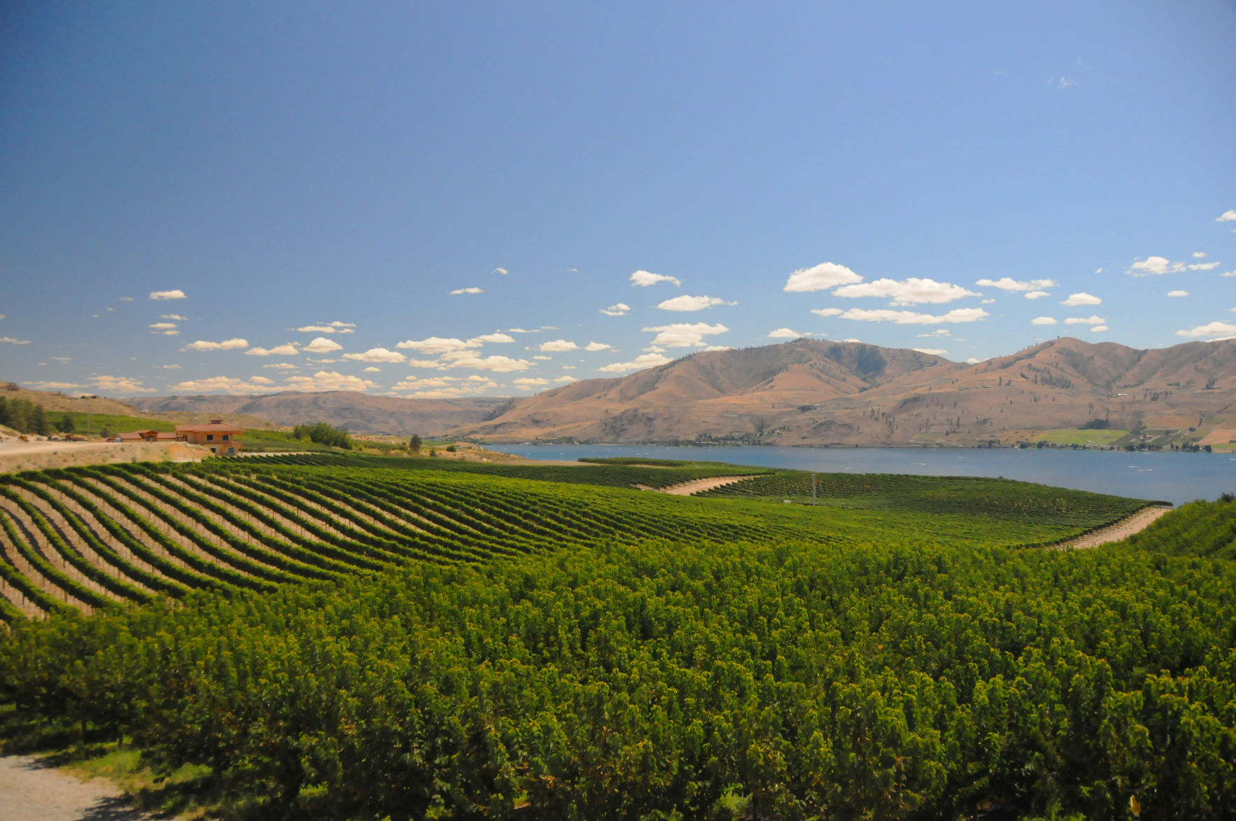 Lake Chelan AVA